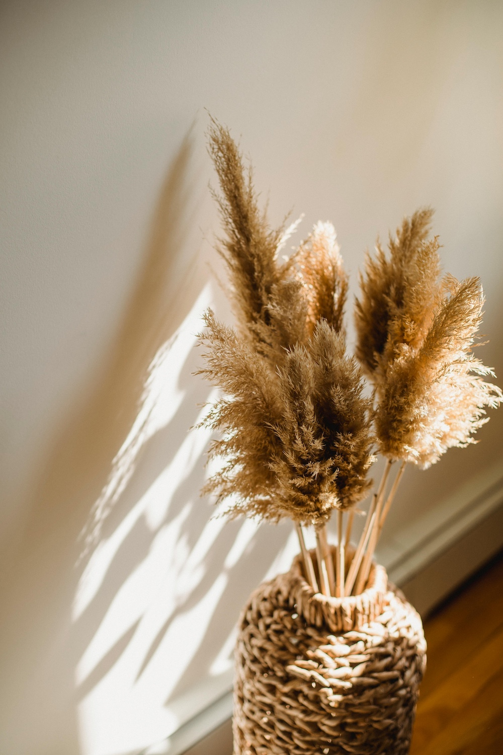 dried grass - mental health counseling with Jen Daugherty - Washington state, Oregon