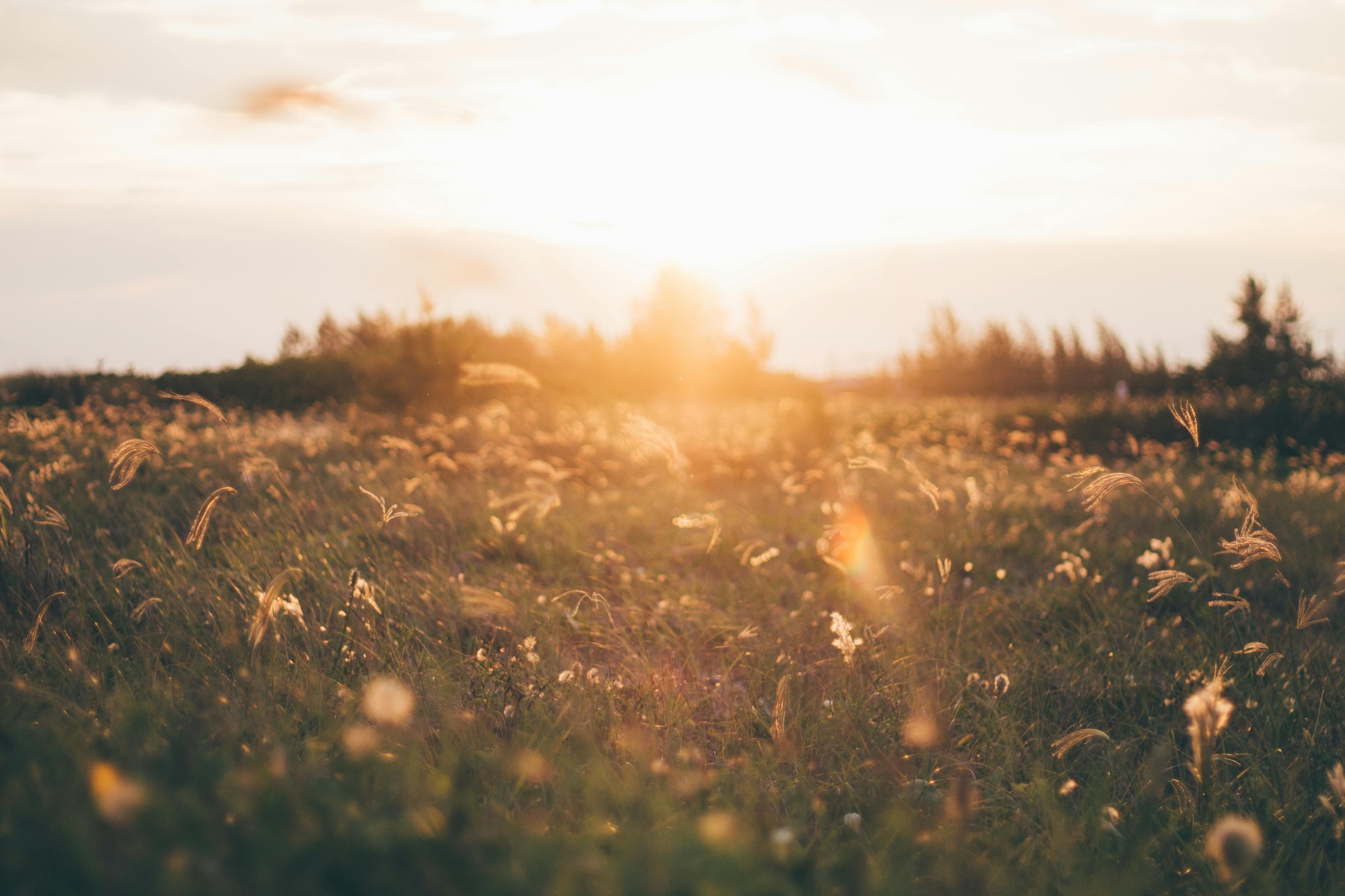 Taking Difficult Emotions for a Walk: How Nature Can Help